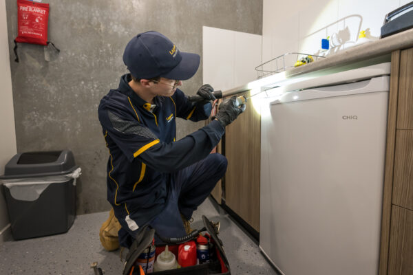 Laguna Pest Web Quality-27